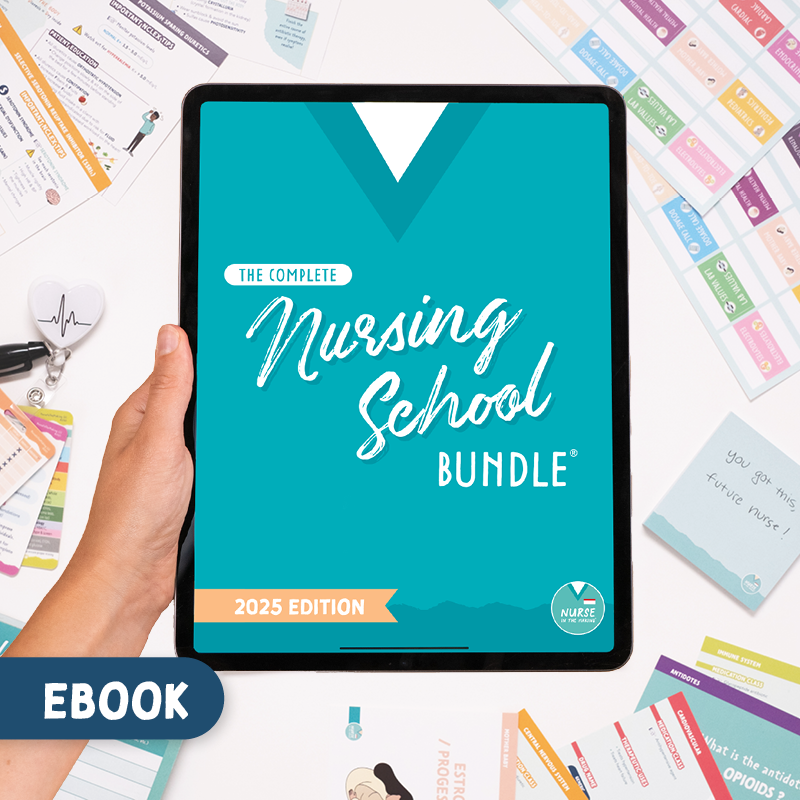 Complete Study Guide Bundle for Nursing Students - UPDATED